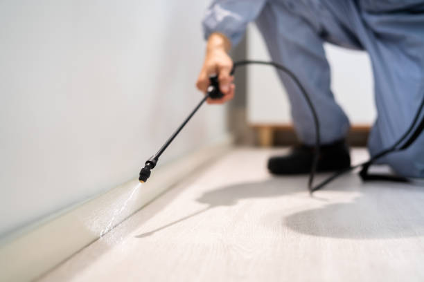 Licensed Pest Control service in Steeleville, IL - Show Me Pest Control